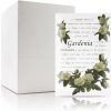 Scented Sachet for Drawers and Closets - Sachet Bags, Lot of 12 (Gardenia)